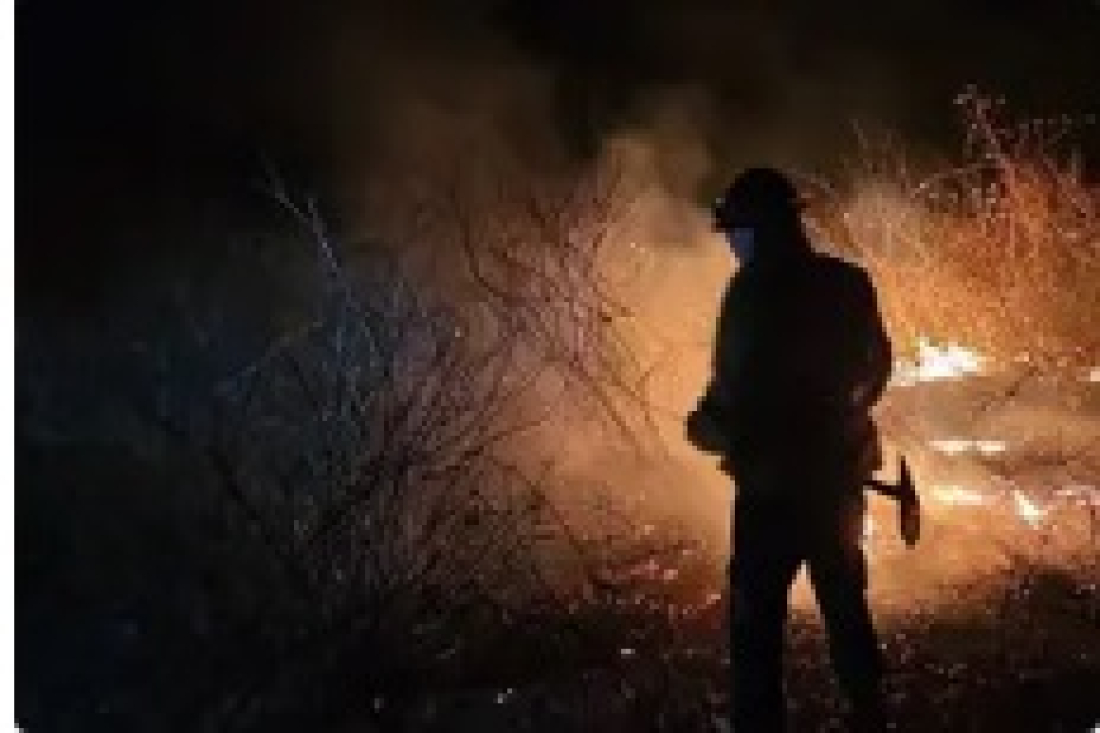 São aproximadamente 201,5 mil hectares a menos atingidos pelas chamas
