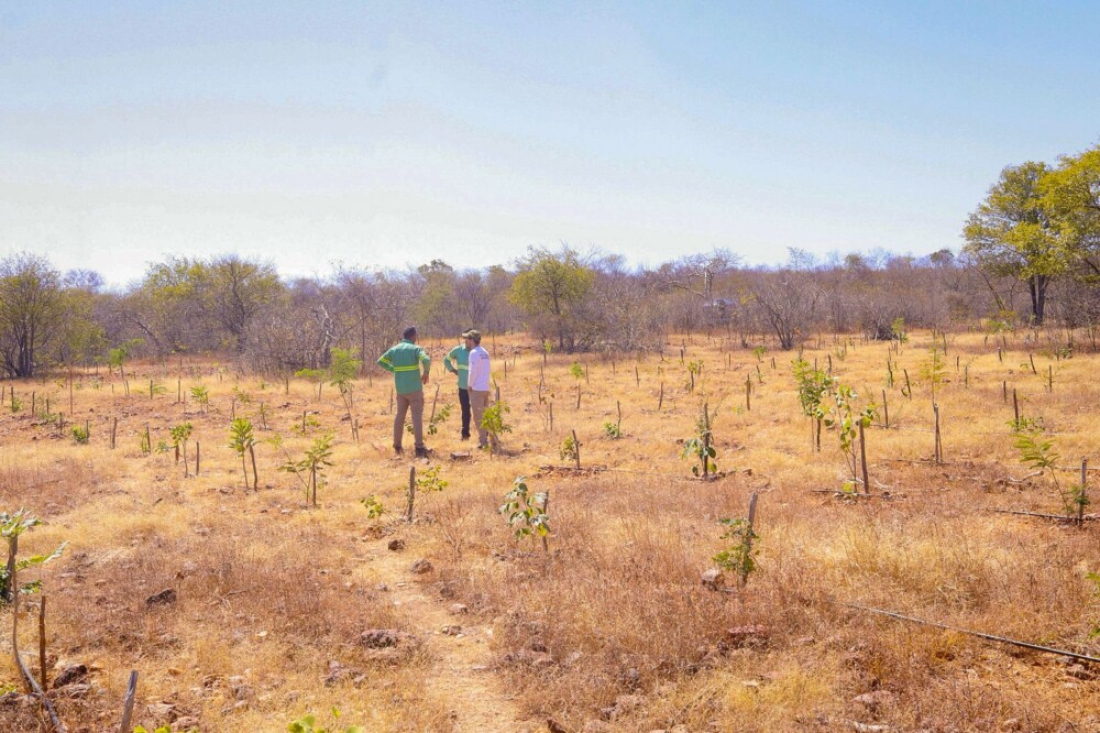 Prognóstico indica temperaturas até 2°C acima do normal 