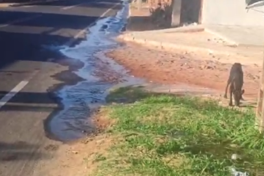 Os moradores cobram providências